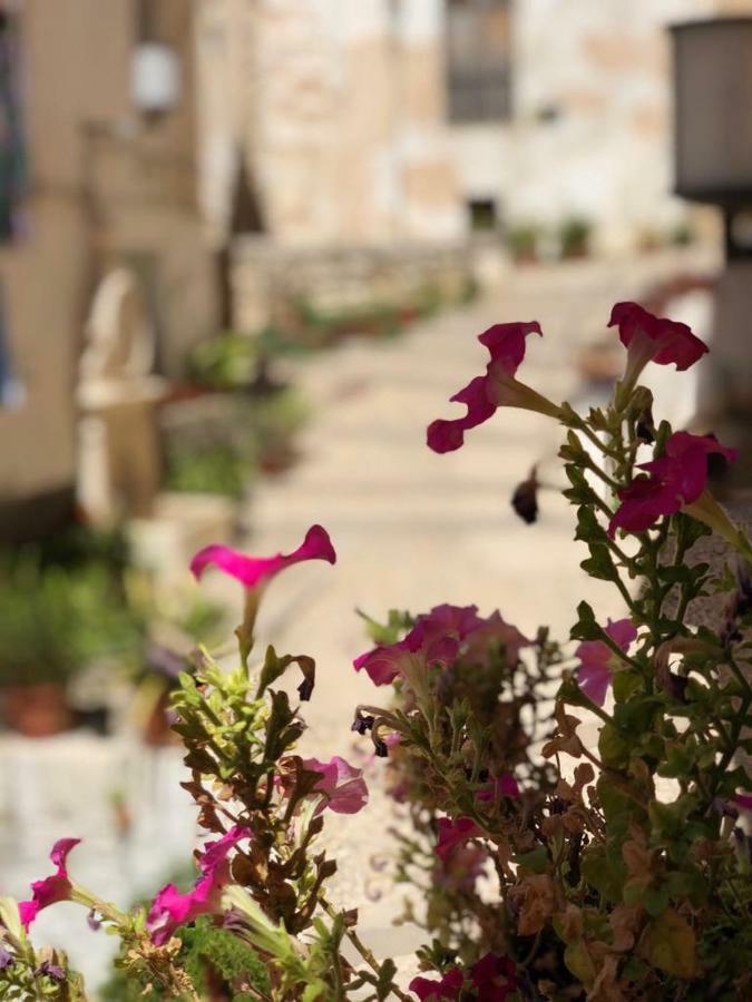 Casa Rural Mirador ボカイレント エクステリア 写真